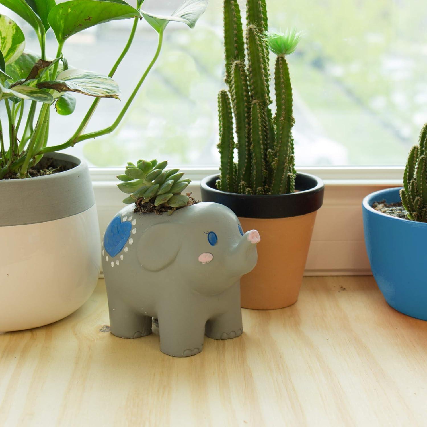 imageCreative Roots Paint Your Own Rock Pets by Horizon Group USA 6 Colors Paint Brush Wiggly Eyes and Glue Included MulticolorElephant