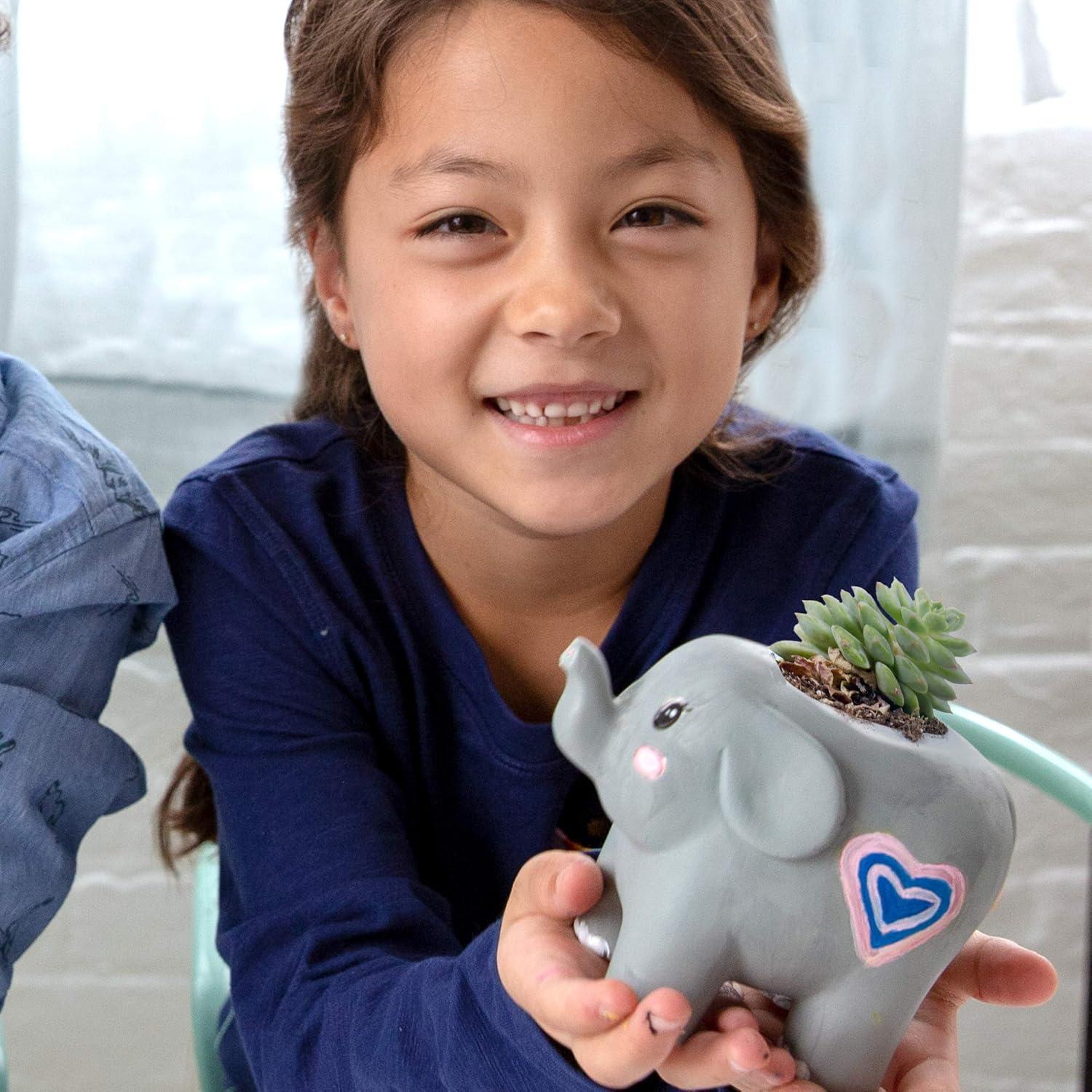 imageCreative Roots Paint Your Own Rock Pets by Horizon Group USA 6 Colors Paint Brush Wiggly Eyes and Glue Included MulticolorElephant