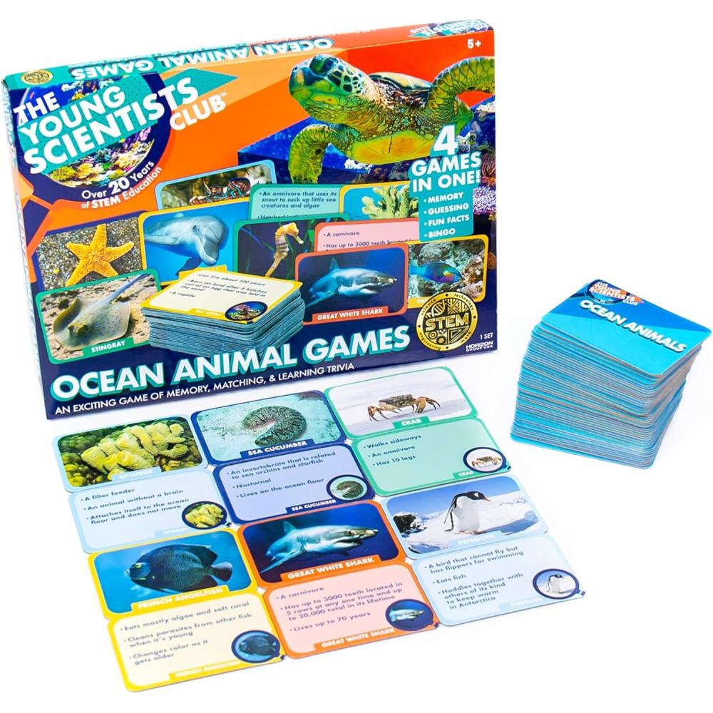 imageThe Young Scientist Prehistoric Animal Card Games  4 Games for Age 5 and Up Matching Bingo Memory Trivia  HandsOn Educational STEM Fun for KidsOcean Animals